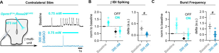 Figure 6—figure supplement 2.