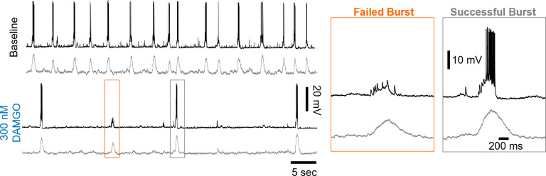 Figure 3—figure supplement 3.