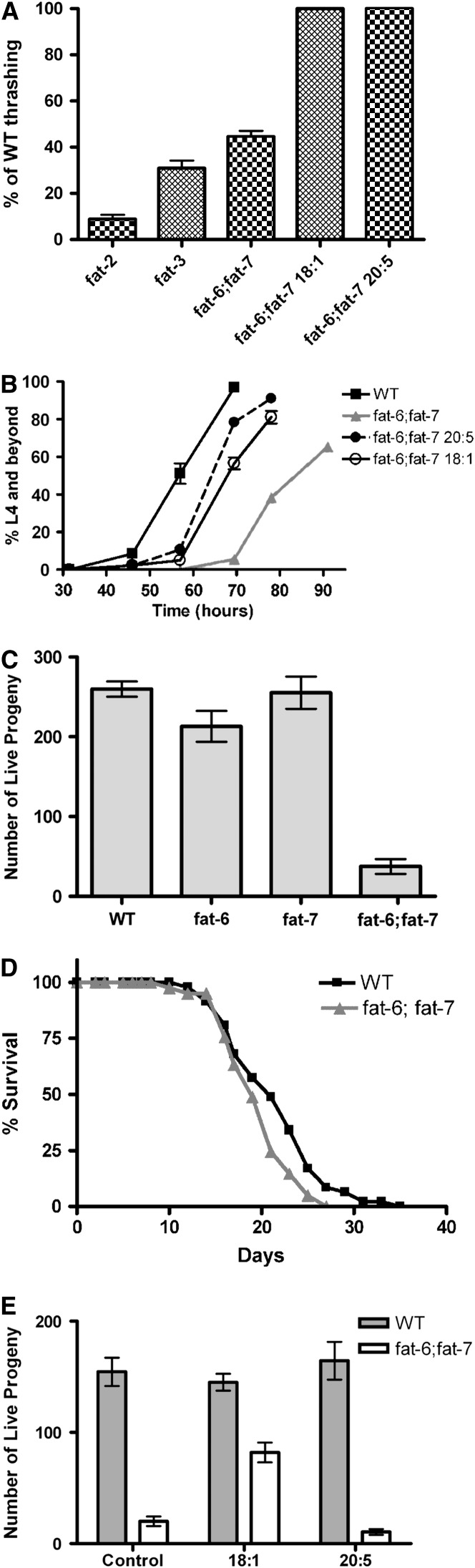 Figure 3.—