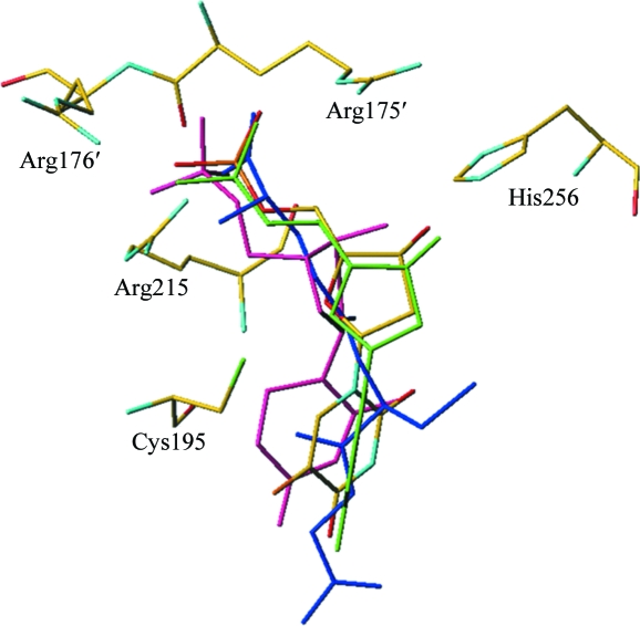 Figure 5