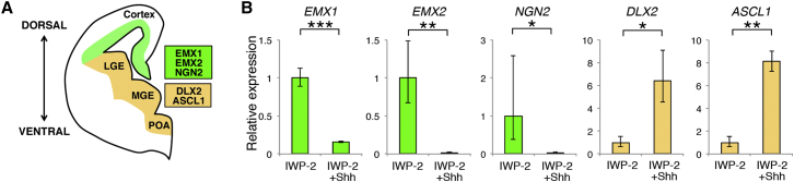 Figure 4