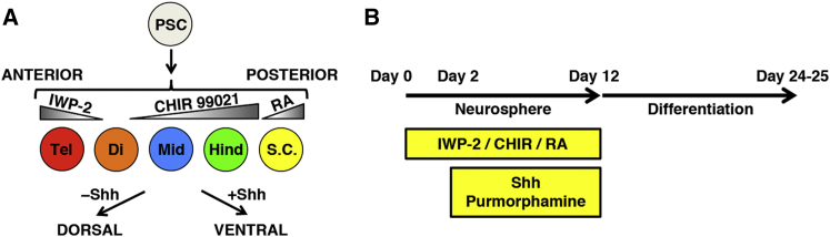 Figure 1