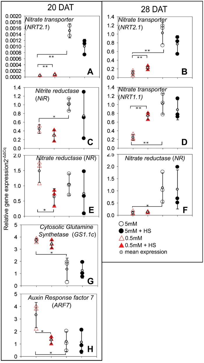 Fig. 8.