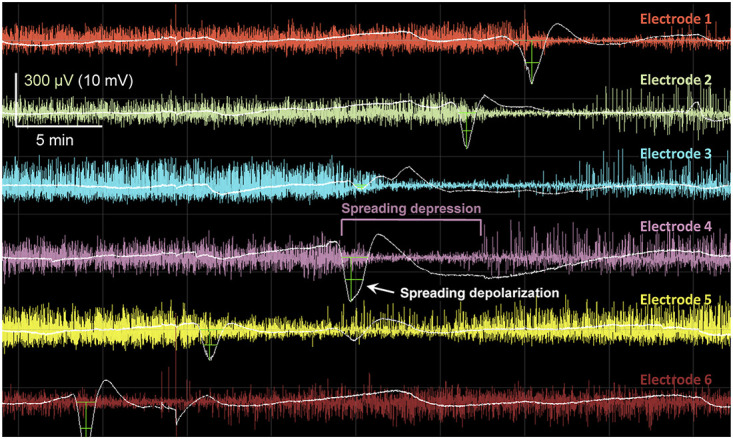 FIGURE 1.