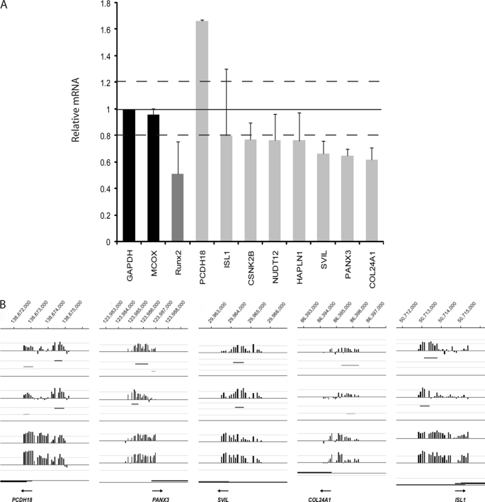 FIGURE 5.