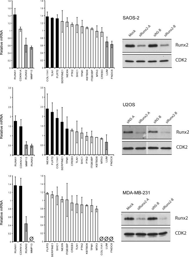 FIGURE 4.