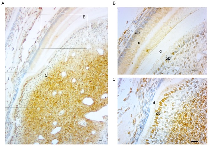 Figure 3.