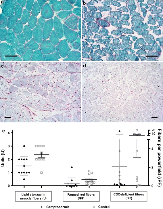 Fig. 4