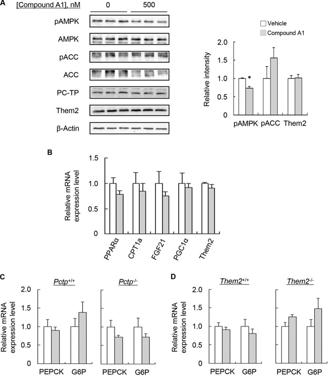 FIG 6