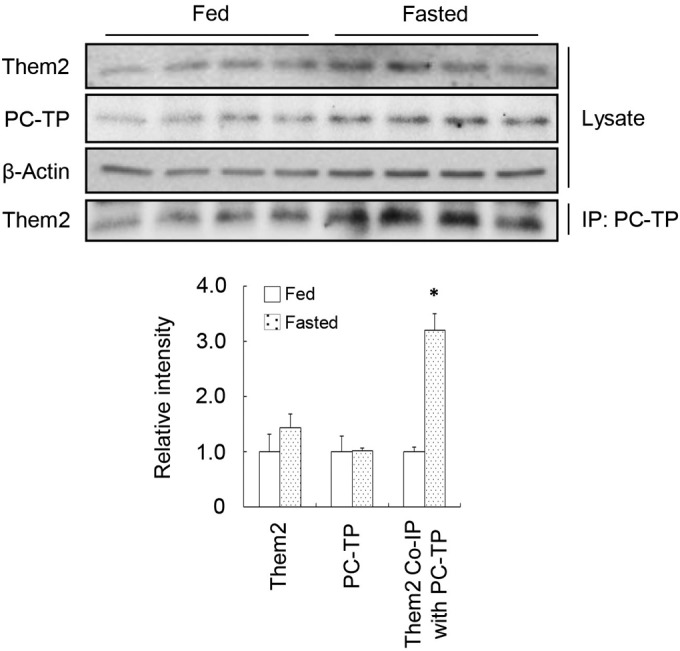 FIG 7