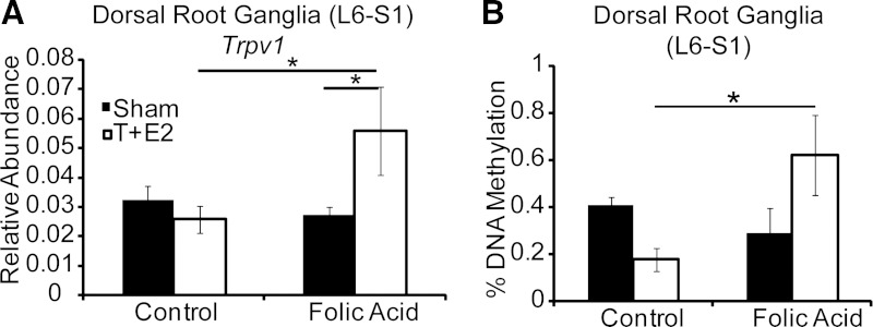 Fig. 11.