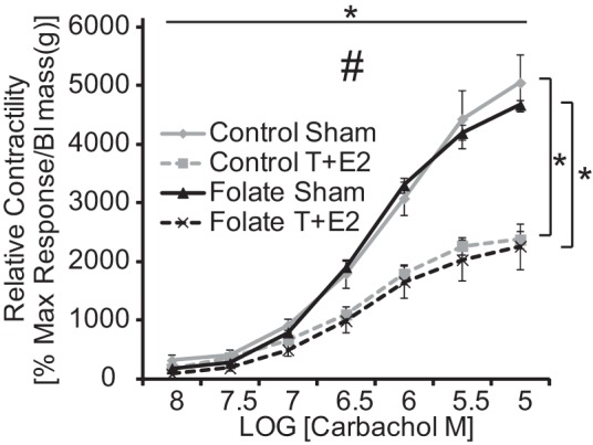 Fig. 8.