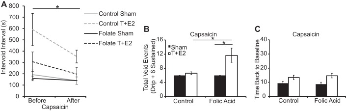 Fig. 10.