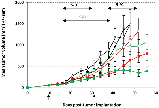 Figure 6