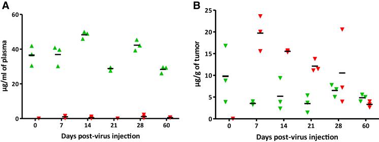 Figure 7