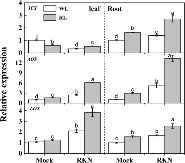 FIGURE 3