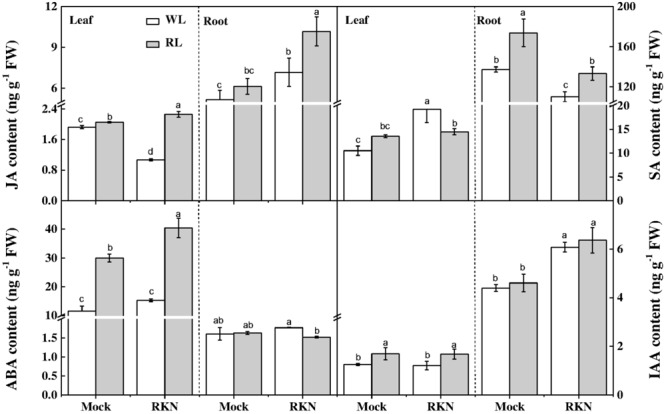 FIGURE 4