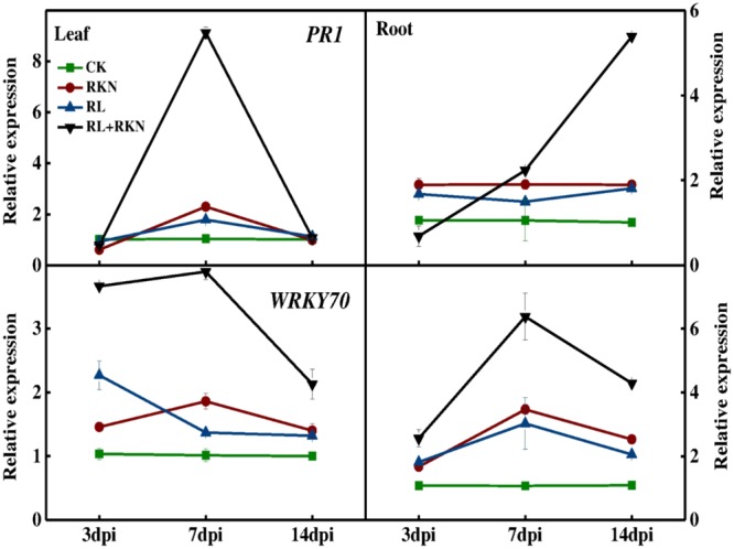 FIGURE 2