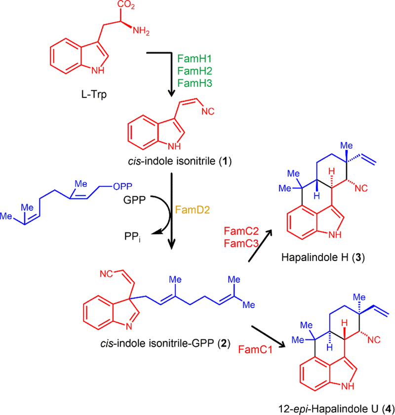 Figure 1.