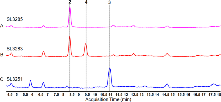 Figure 7.