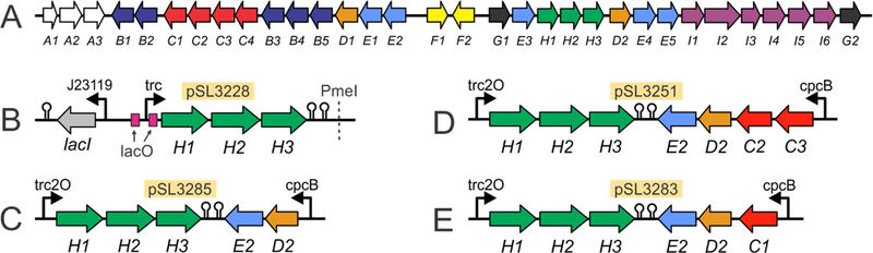 Figure 3.