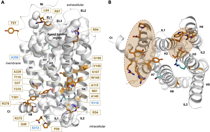 Figure 6