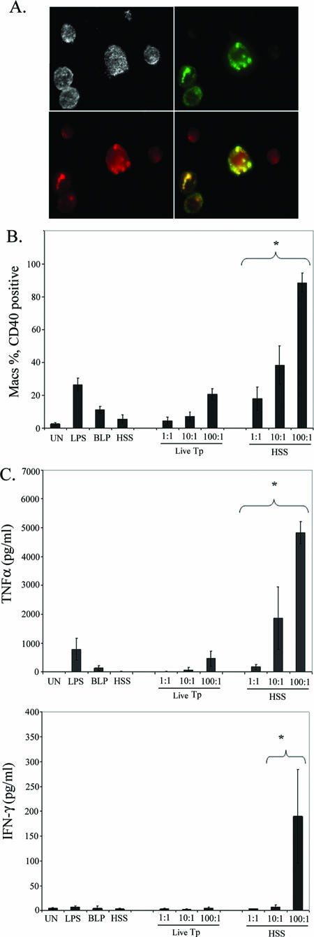 FIG. 6.