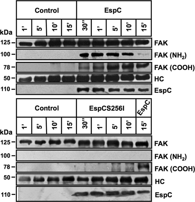 FIG 7