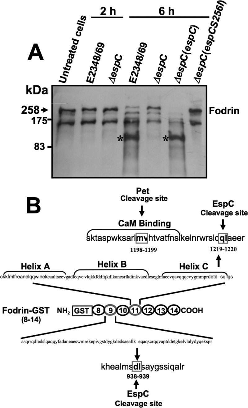 FIG 4