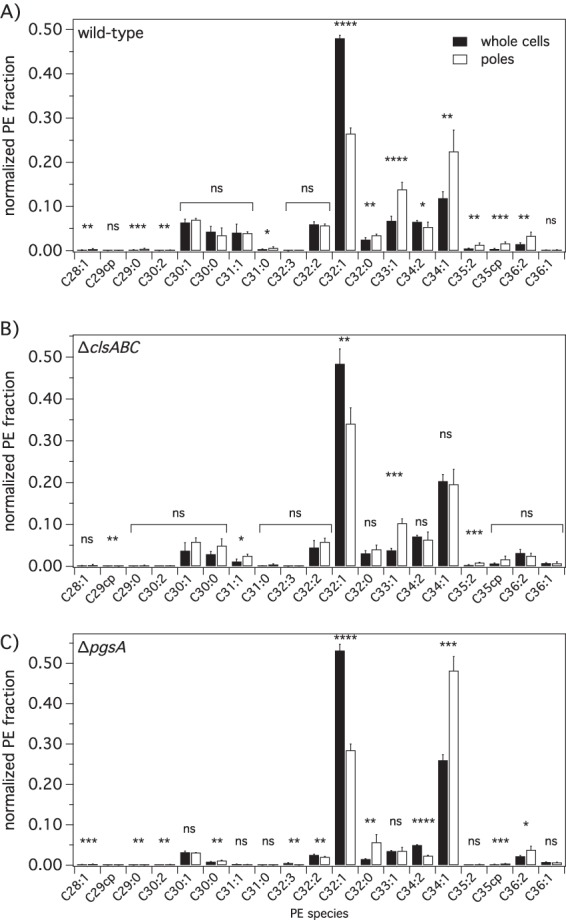 FIG 6