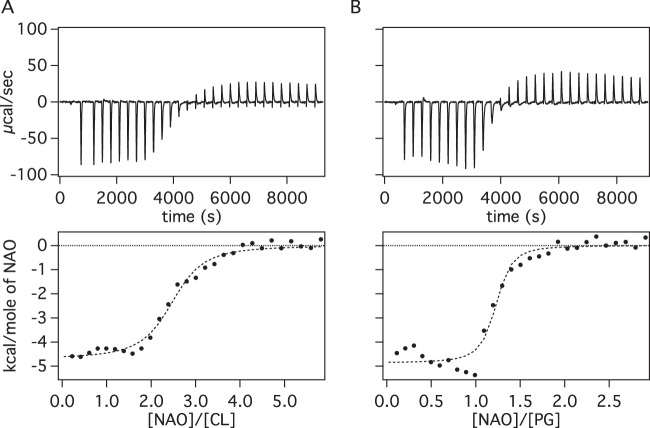 FIG 2