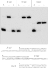 FIG 7