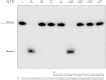 FIG 9