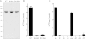 FIG 2