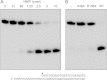 FIG 8
