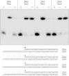FIG 6