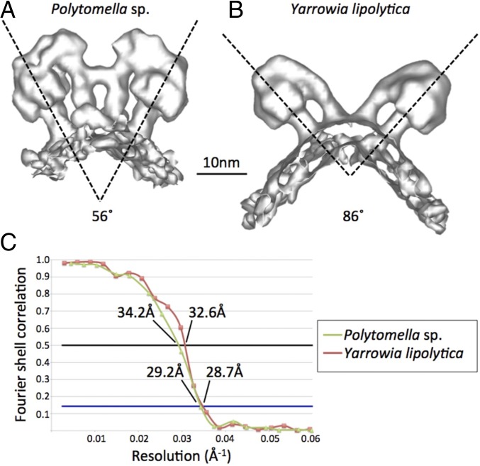 Fig. 5.