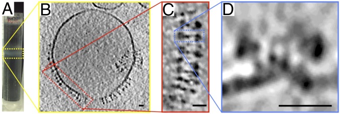 Fig. 3.