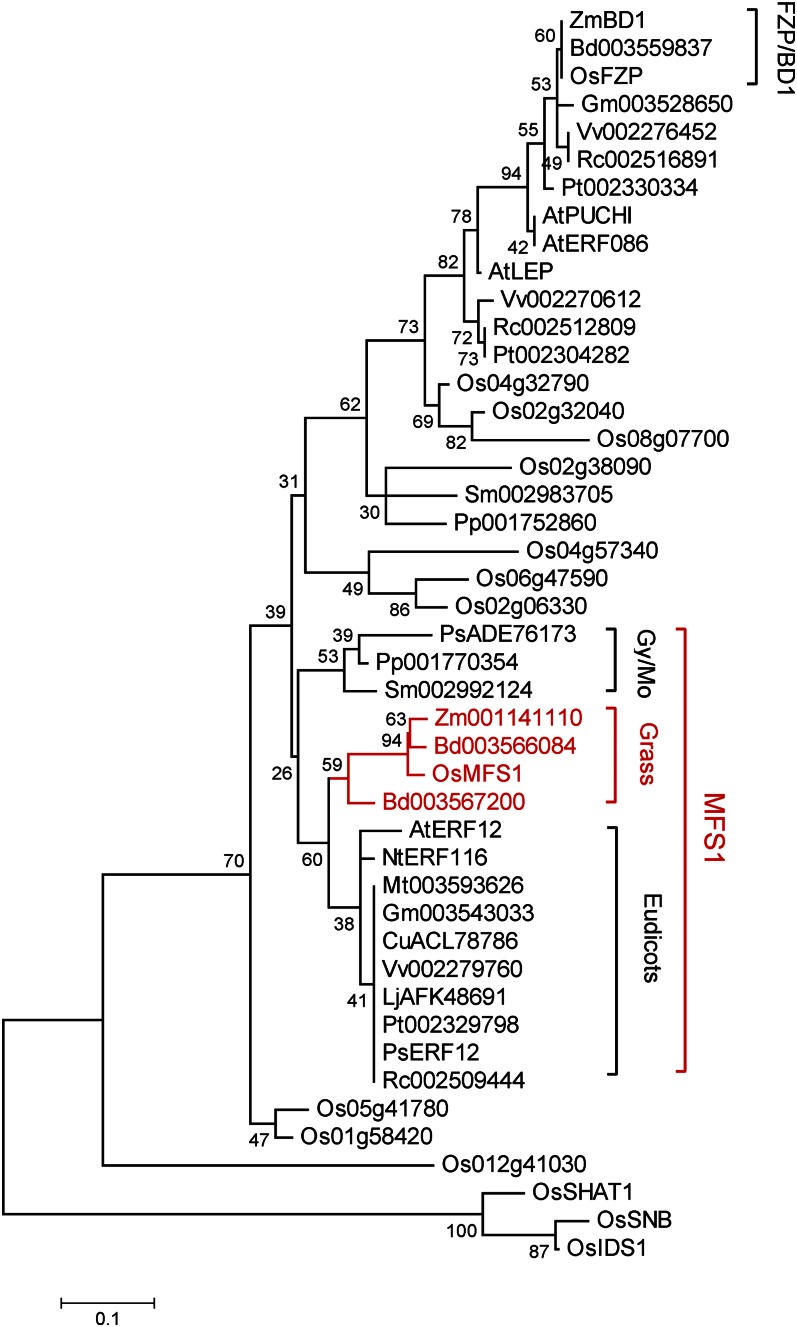 Figure 7.