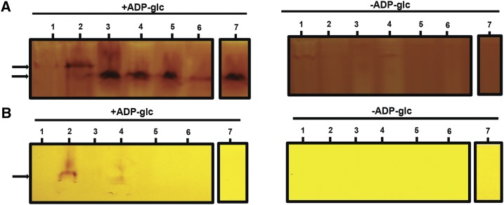 Figure 9.