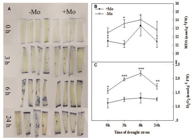 FIGURE 3