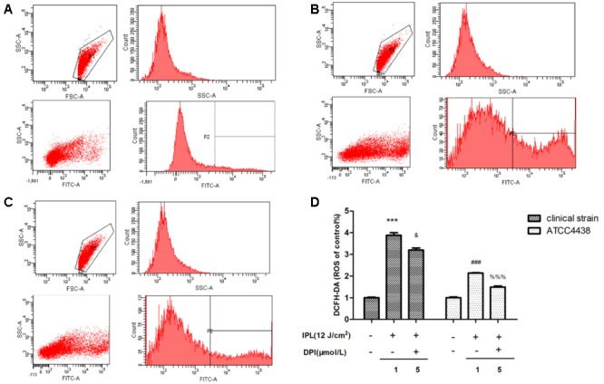 FIGURE 4