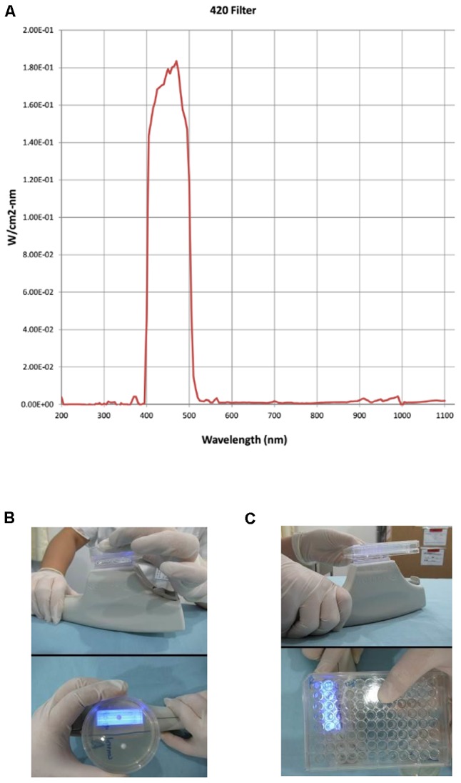 FIGURE 1