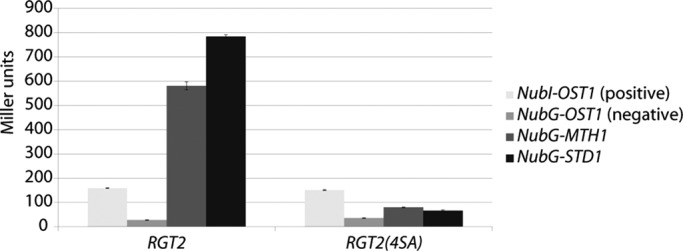 FIGURE 6: