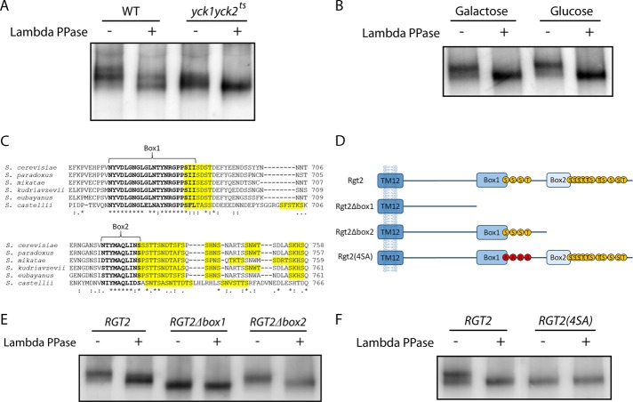 FIGURE 3: