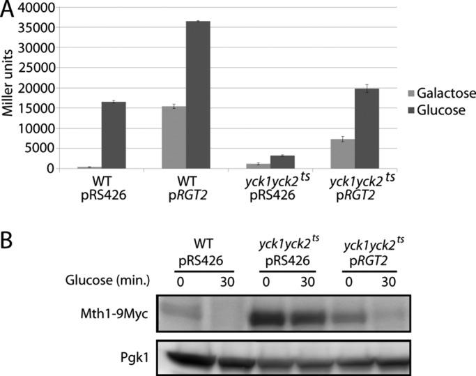 FIGURE 2: