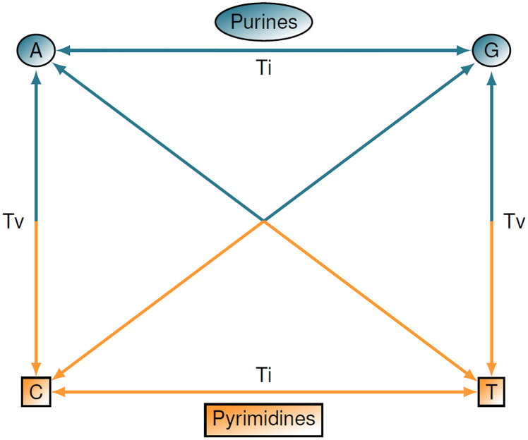 Fig 5