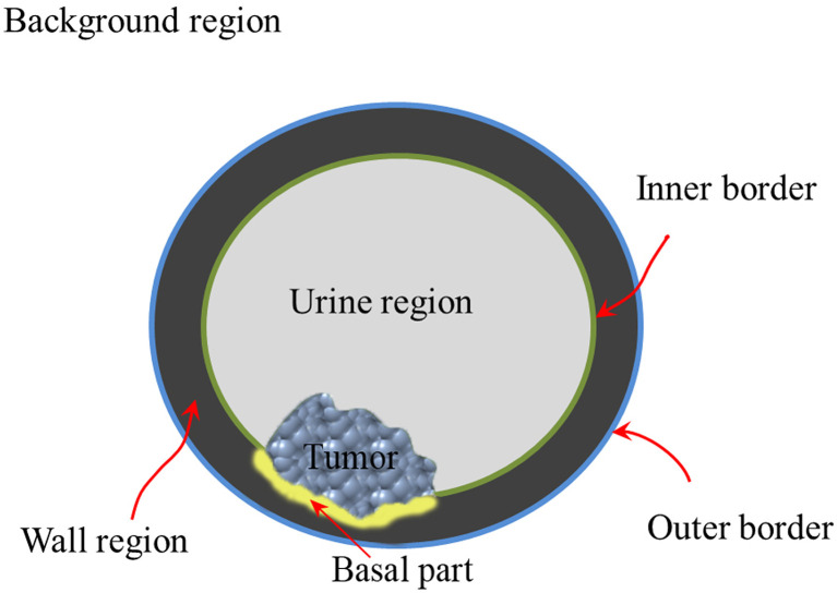 Figure 3