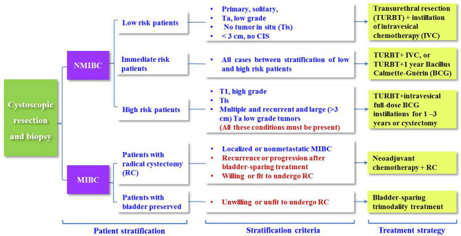 Figure 5