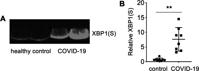 Fig 8